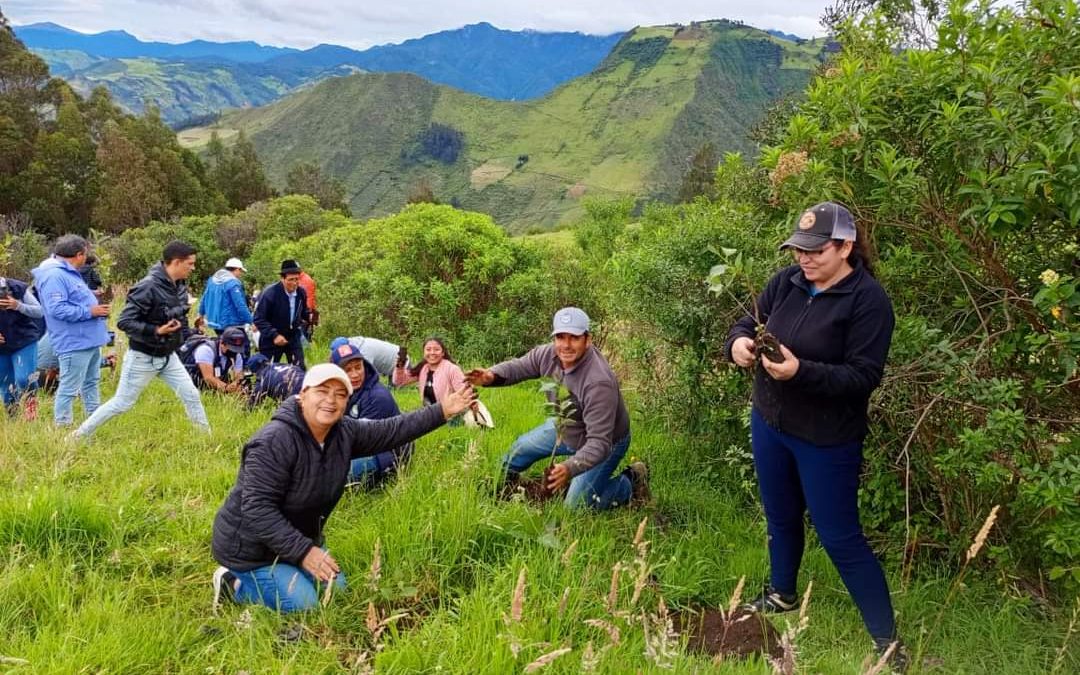 Reforestación Ambiental